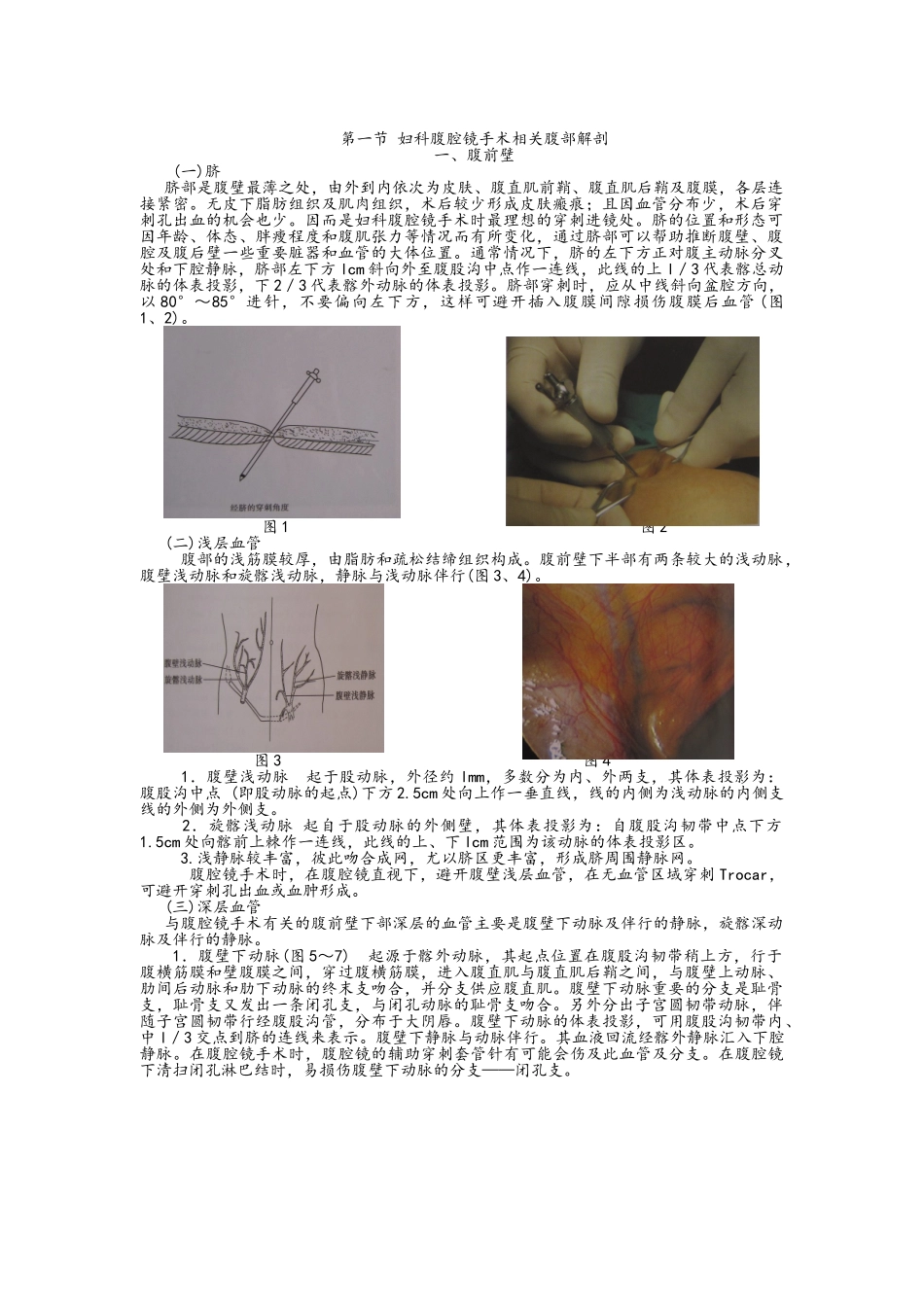 妇科腹腔镜手术相关腹部解剖_第1页