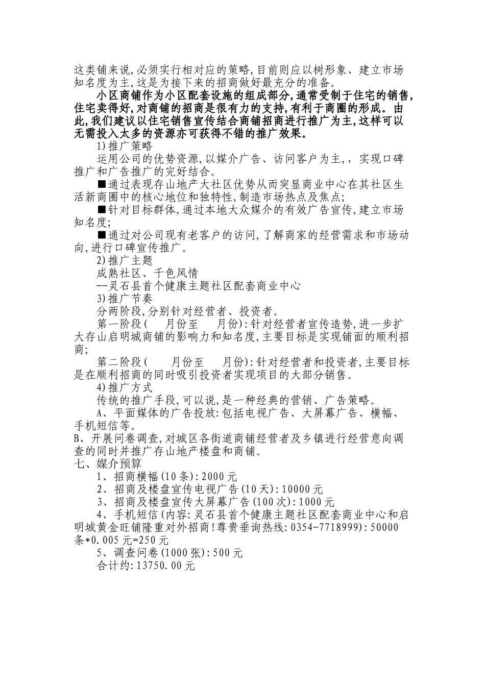 存山地产商铺推广策划方案_第3页