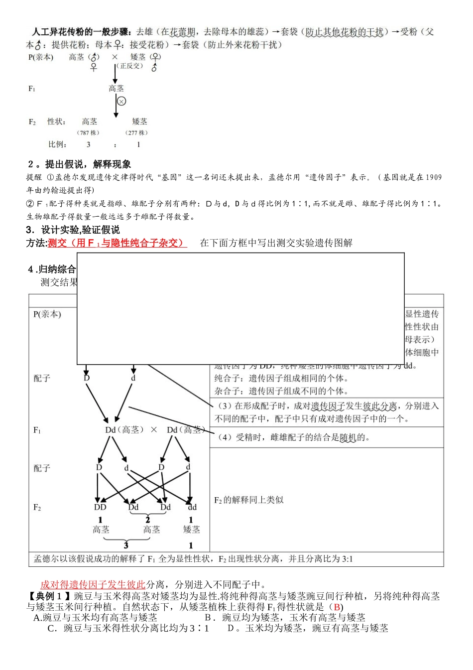 孟德尔的豌豆杂交实验知识点总结_第2页