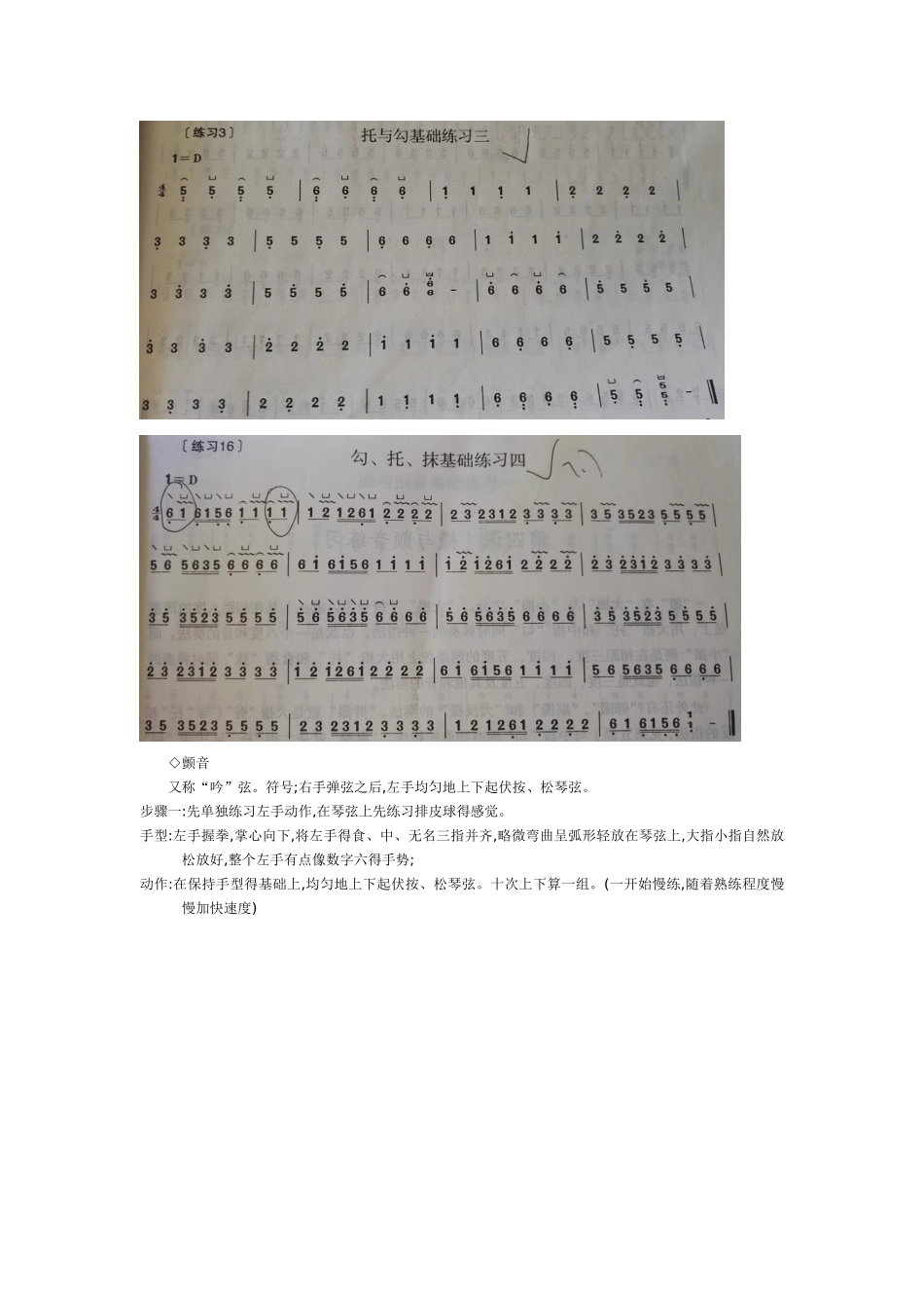 学习古筝的基础知识_第3页