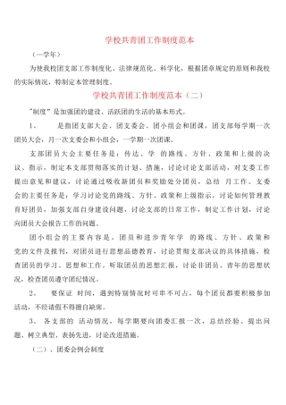 学校共青团工作制度