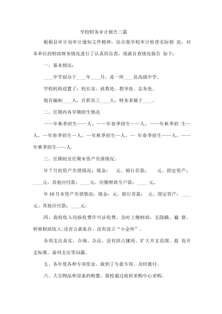 学校财务审计报告