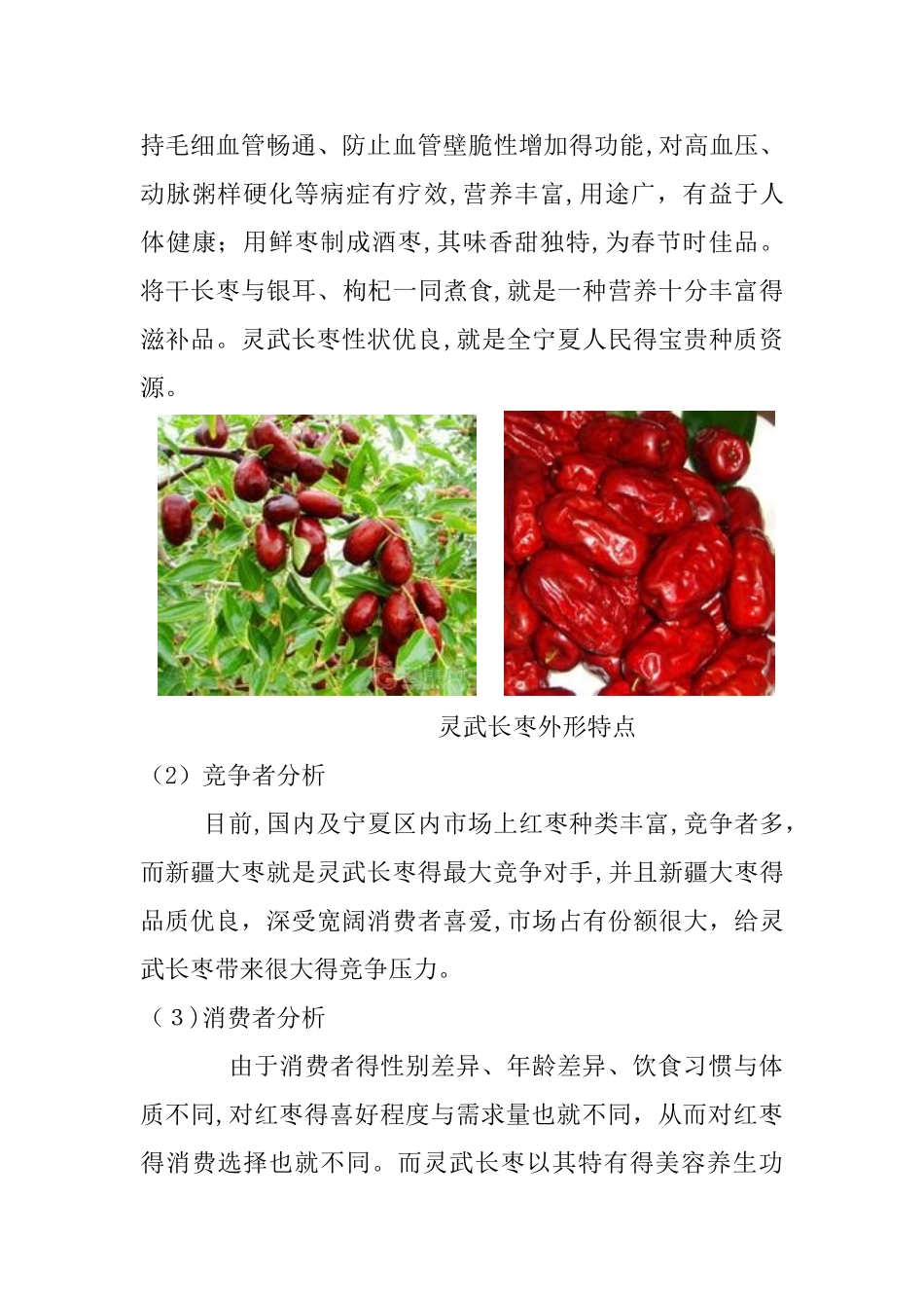 宁夏特色农产品营销策划——以灵武长枣为例_第3页