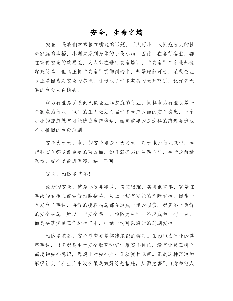 安全-生命之墙_第1页