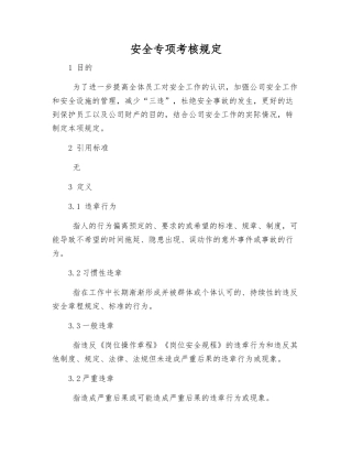 安全专项考核规定