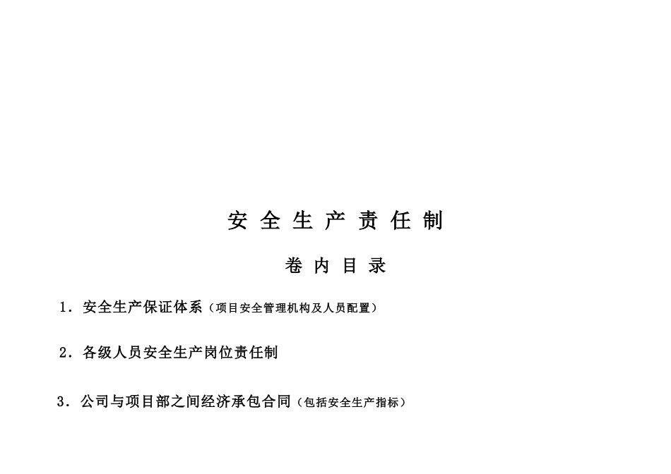 安全十三本台帐_第2页