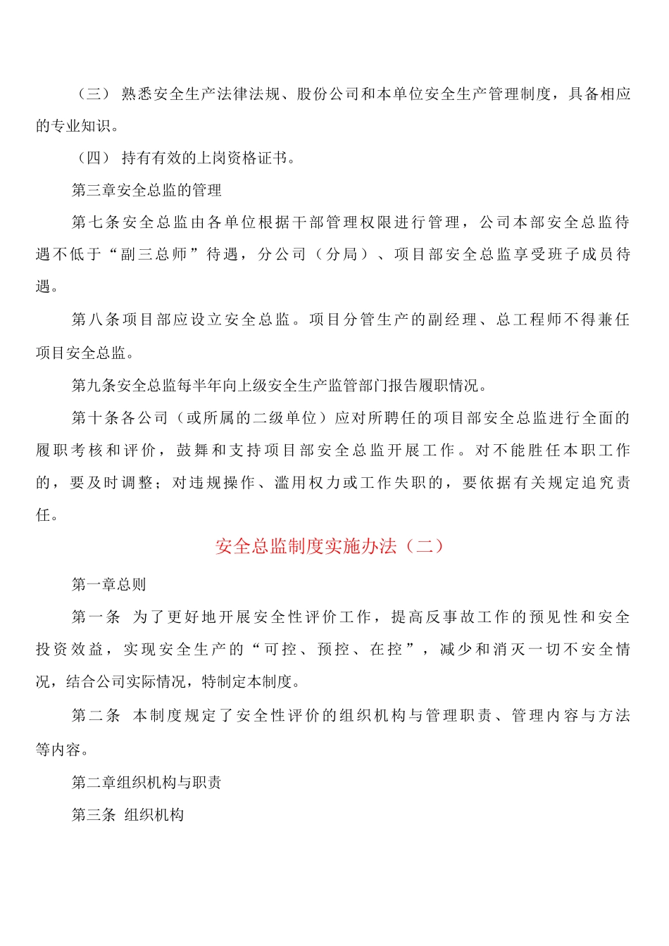 安全总监制度实施办法_第2页