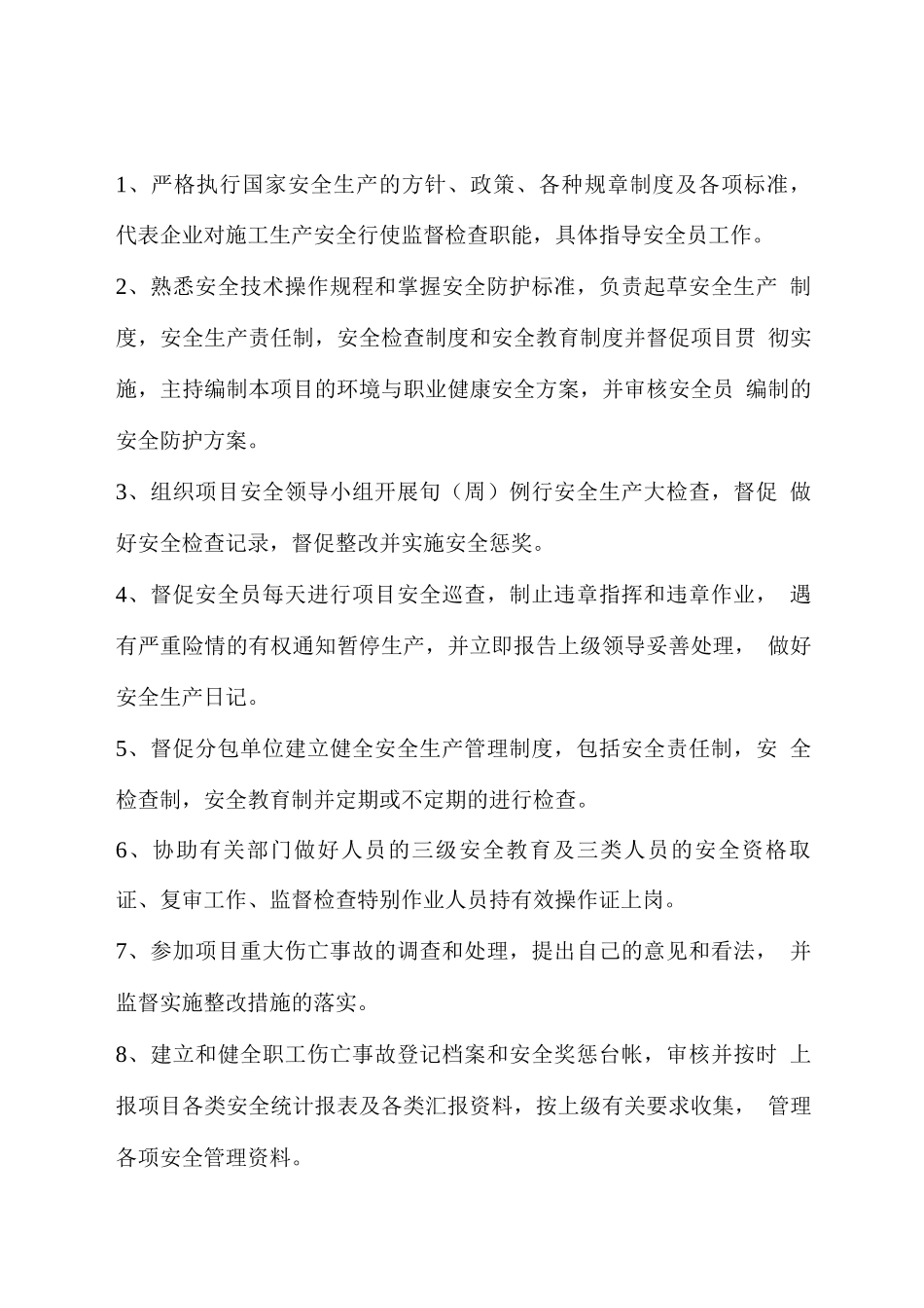 安全总监岗位职责_第1页