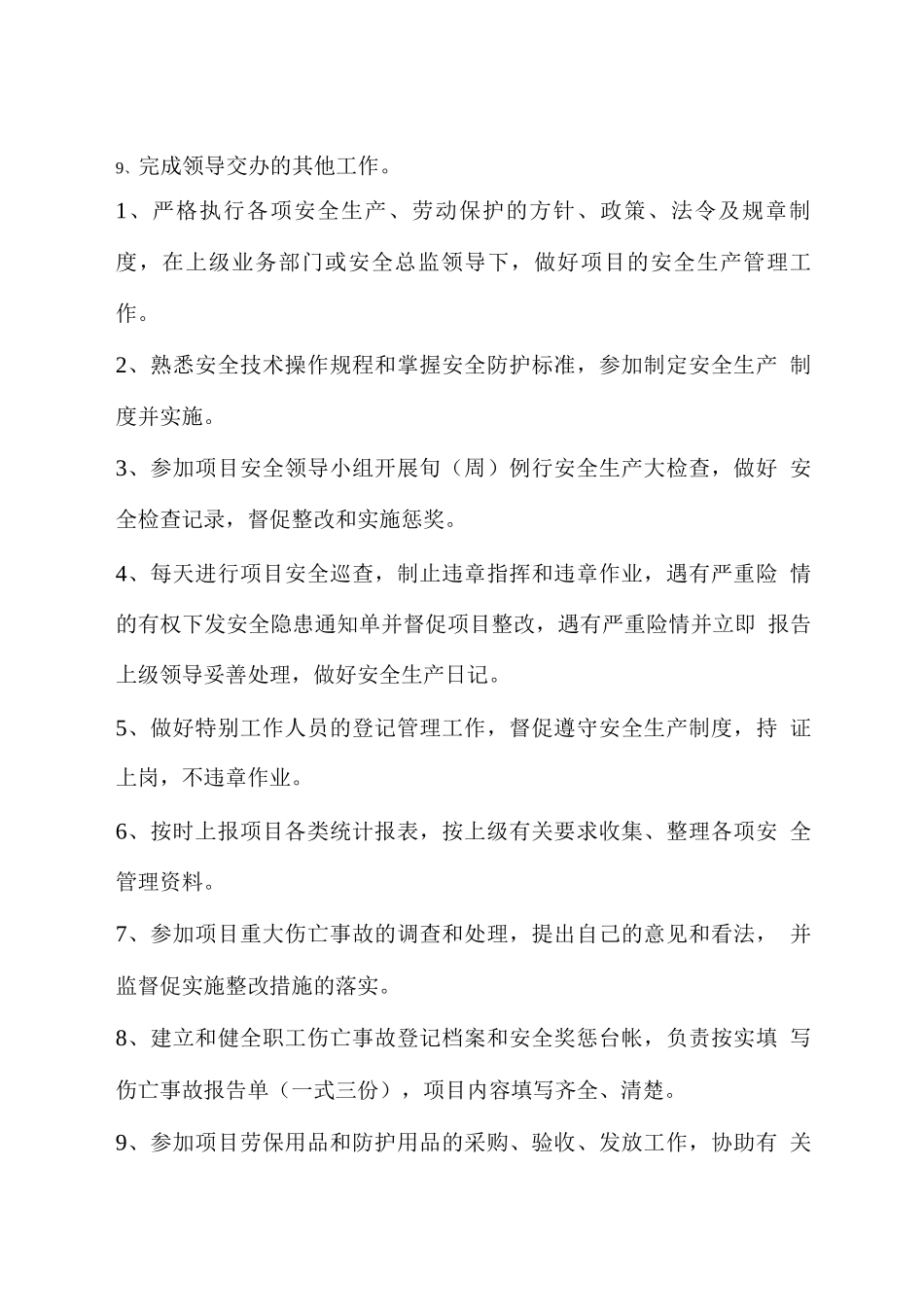 安全总监岗位职责_第2页