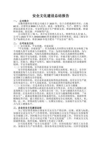 安全文化建设总结