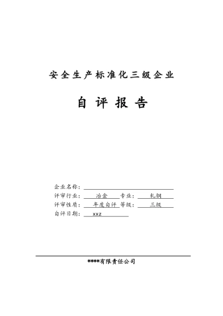安全生产标准化自评报告