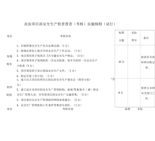 安全生产检查督查实施细则