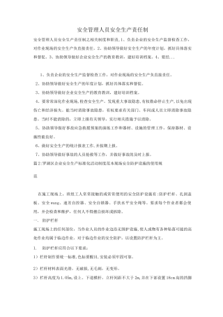 安全管理人员安全生产责任制