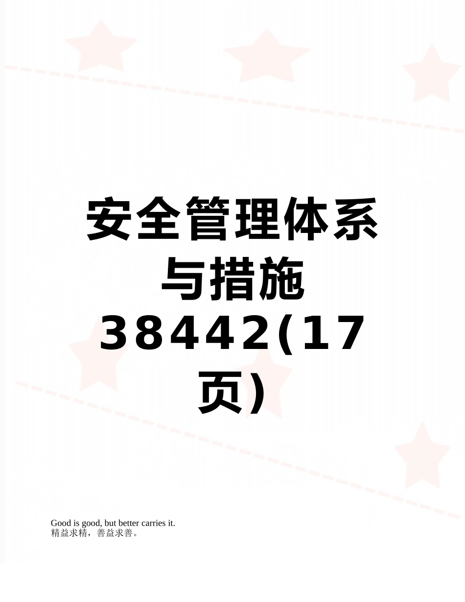 安全管理体系与措施38442_第1页