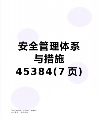 安全管理体系与措施45384