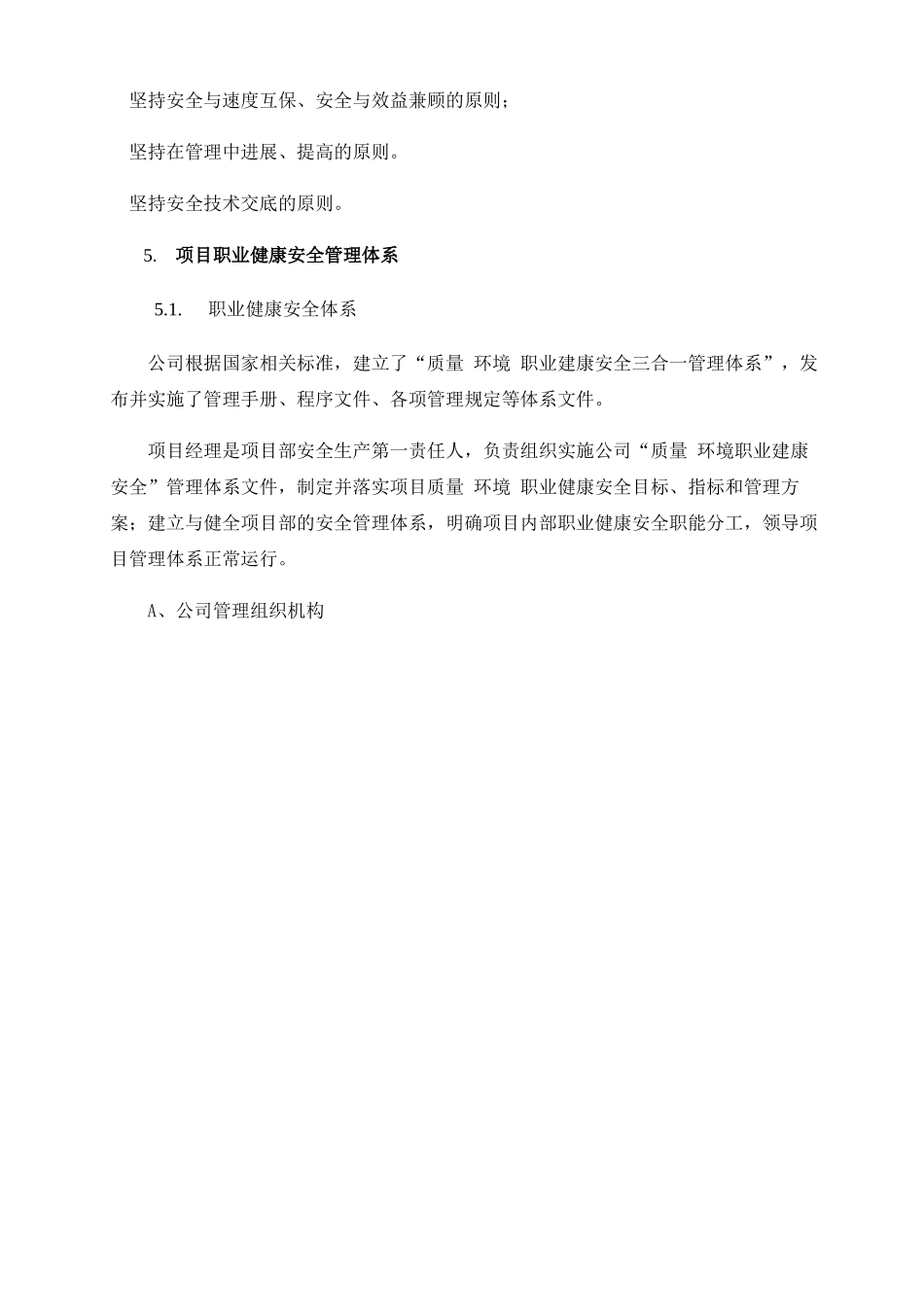 安全管理体系及措施_第2页