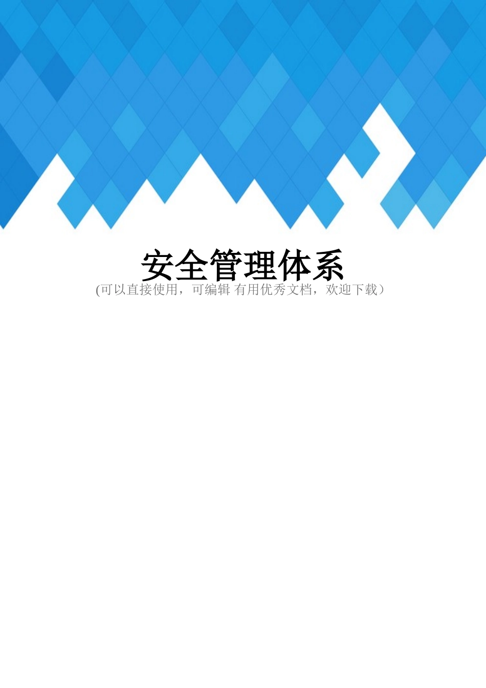 安全管理体系完整_第1页