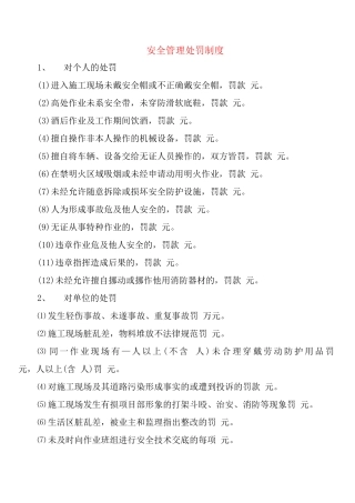安全管理处罚制度