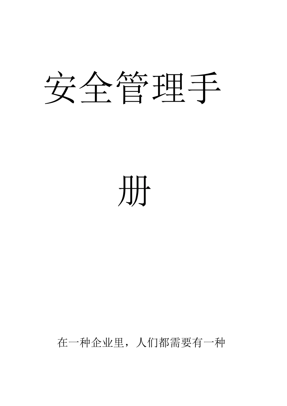 安全管理手册_第1页