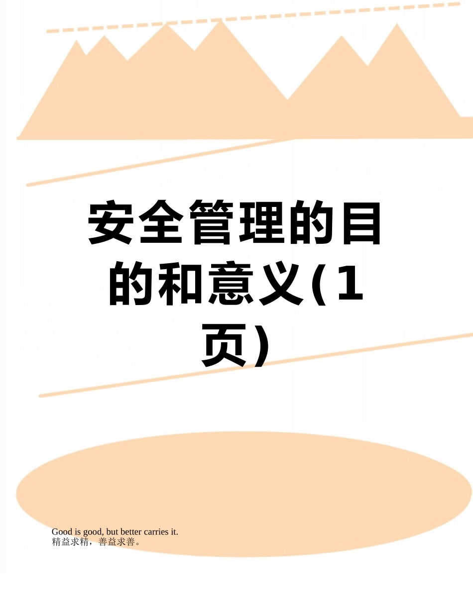 安全管理的目的和意义_第1页