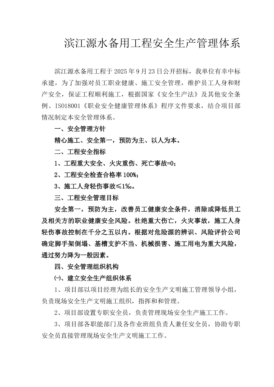 安全管理组织体系_第3页