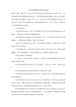 安全管理规定及处罚办法