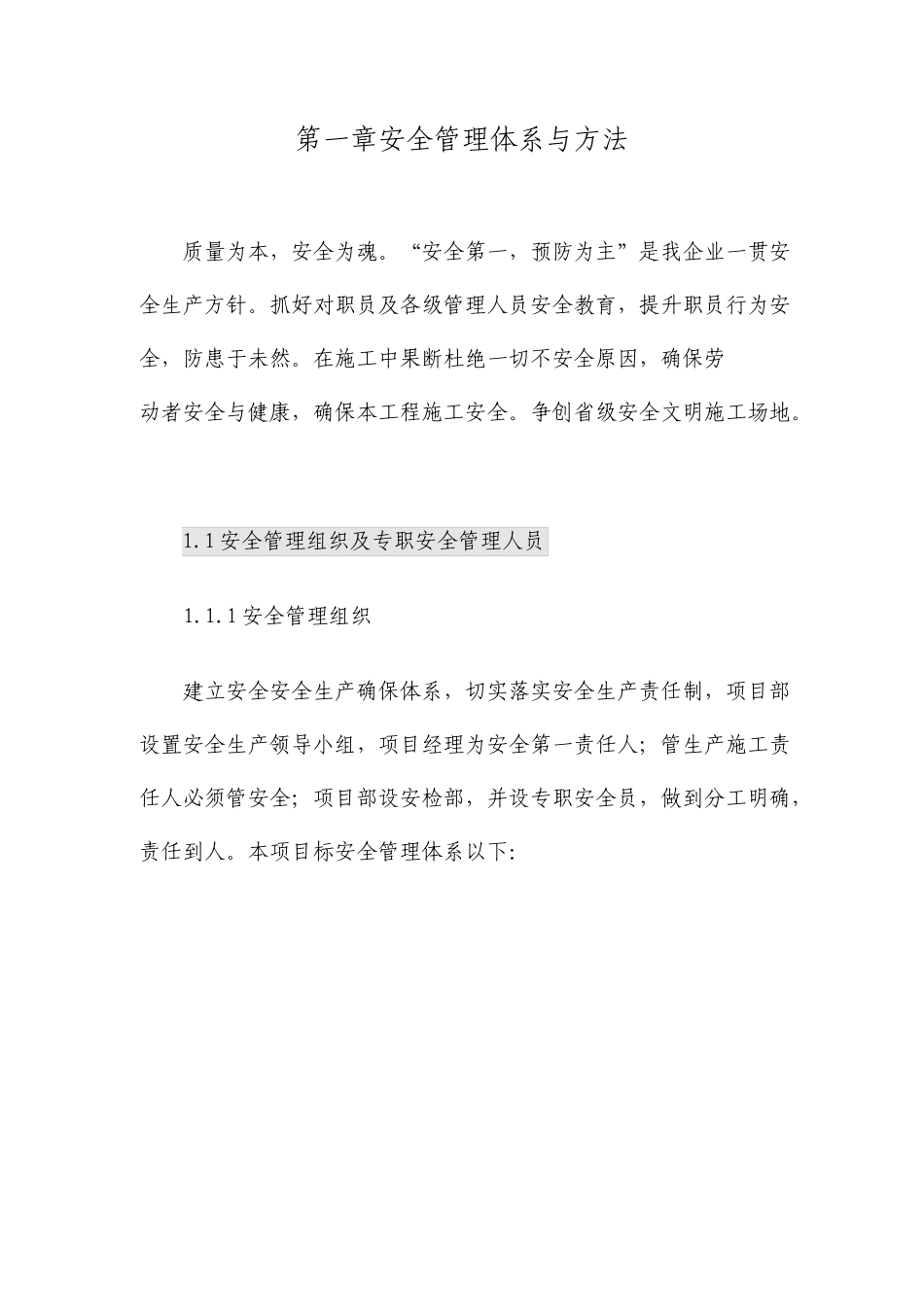 安全质量管理体系_第1页