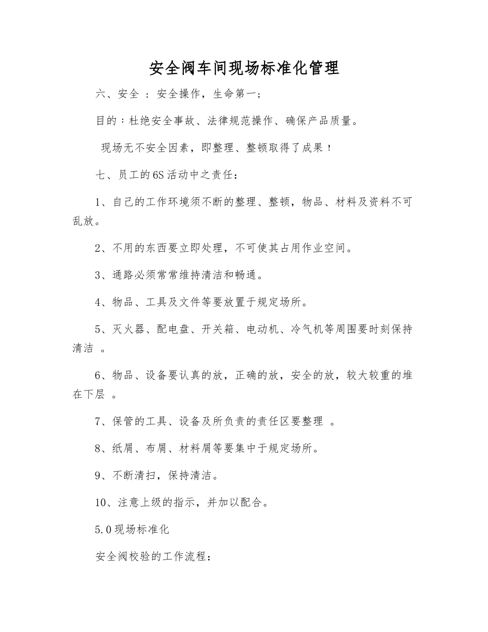 安全阀车间现场标准化管理_第1页