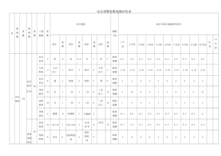 安全预警指数观测评价表