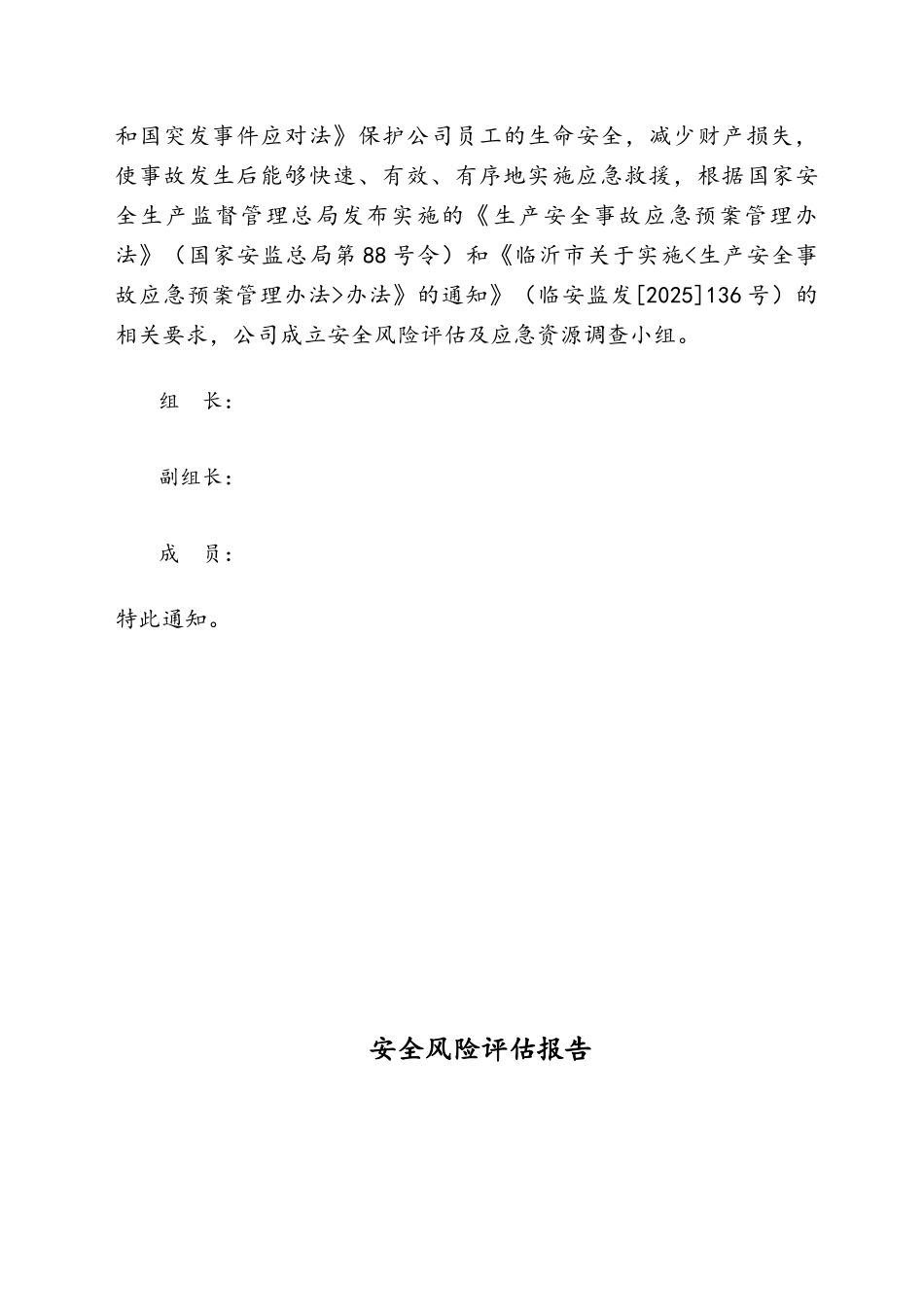 安全风险评估报告_第3页