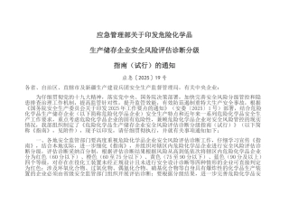 安全风险评估诊断分级应急19号