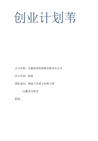 安徽思味特奶酪食品公司创业计划书