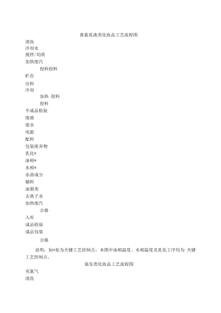 完整生产工艺流程图