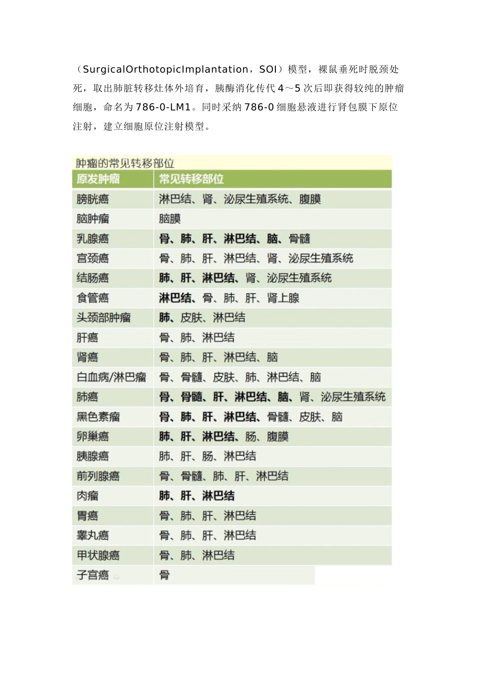 实验动物肿瘤模型_第3页