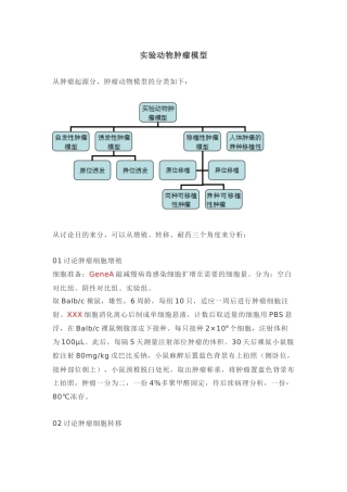 实验动物肿瘤模型
