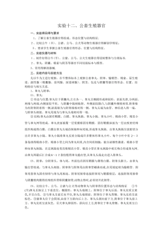 实验十二、公畜生殖器官