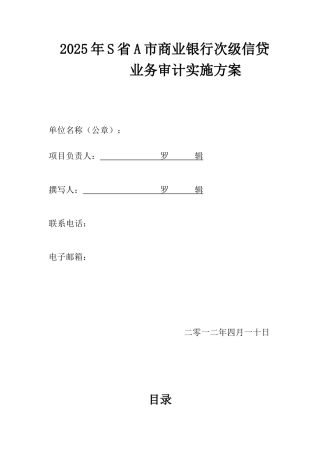 审计实施方案模板