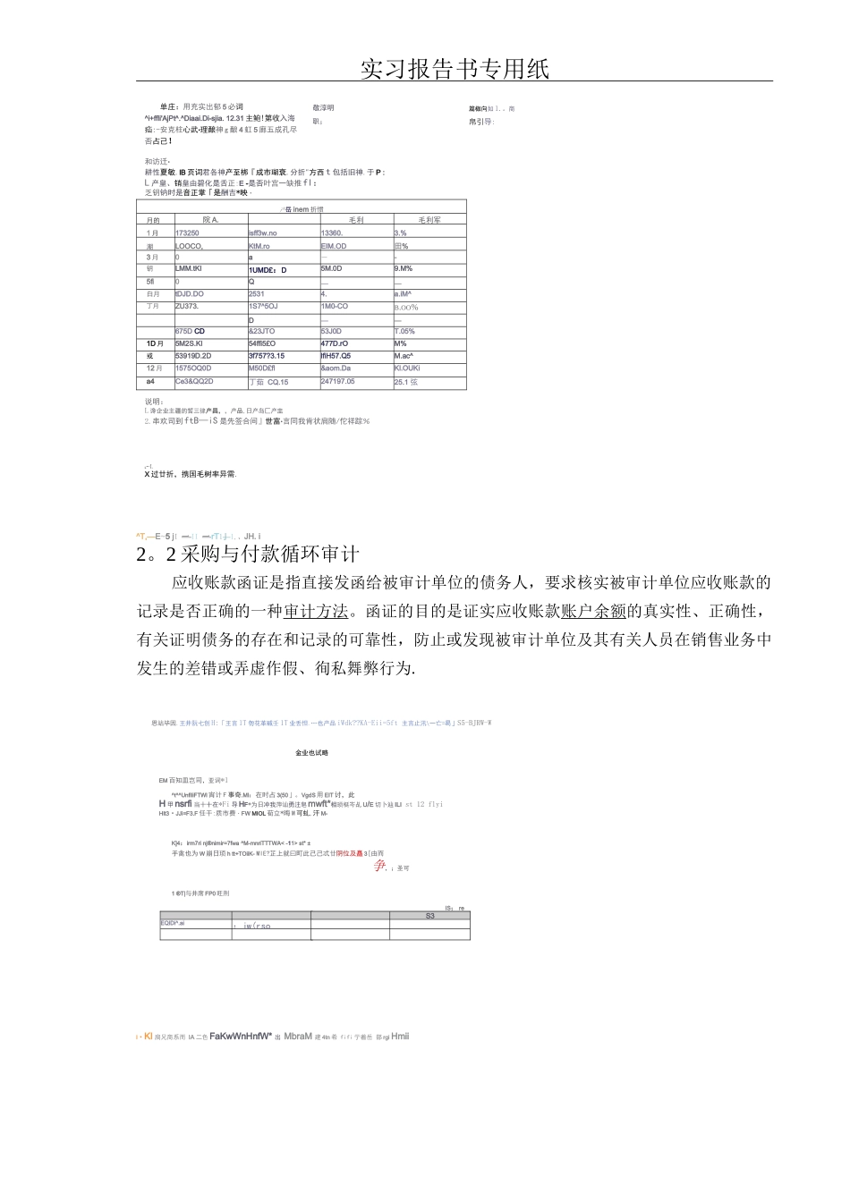 审计实习报告正文_第2页