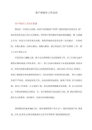 客户体验年工作总结