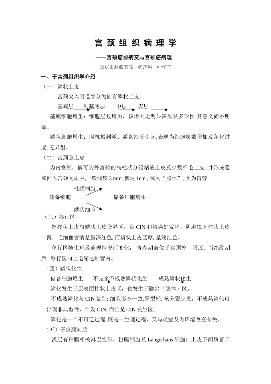 宫颈组织病理学_第1页