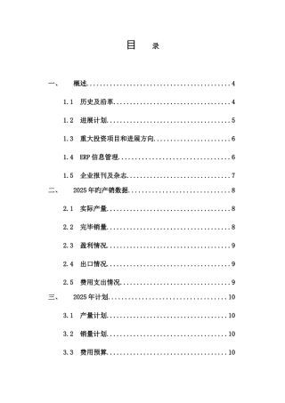 家电生产集团调查报告