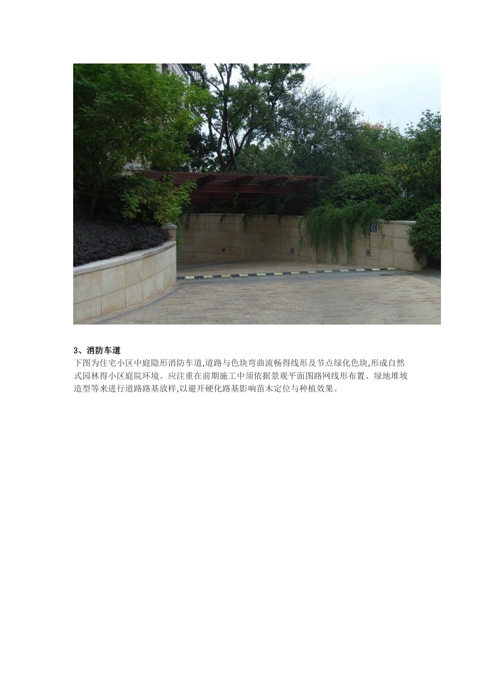 小区植物配置_第3页