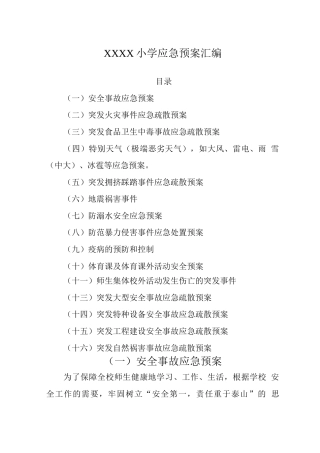 小学2025年各项应急预案