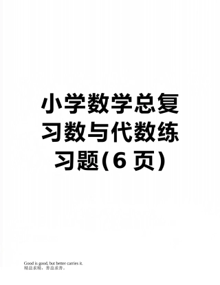 小学数学总复习数与代数练习题