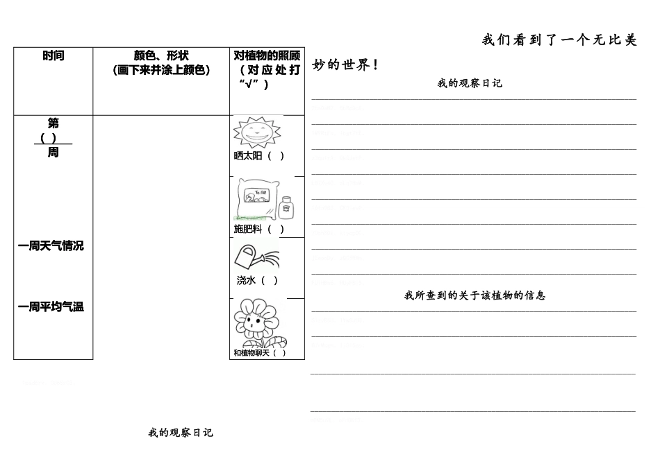 小学植物生长观察记录文本表_第2页