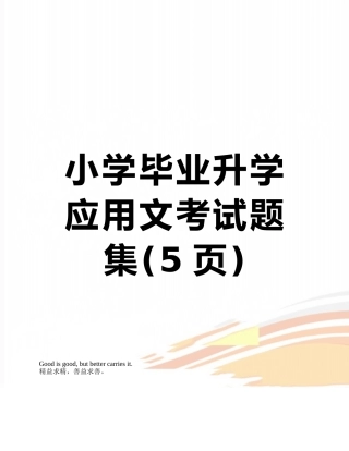 小学毕业升学应用文考试题集
