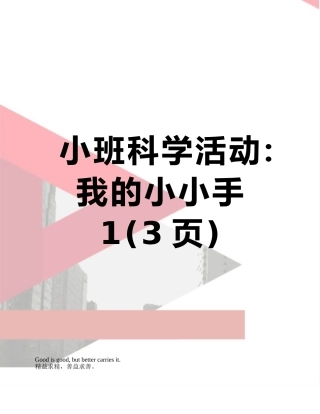 小班科学活动：我的小小手1