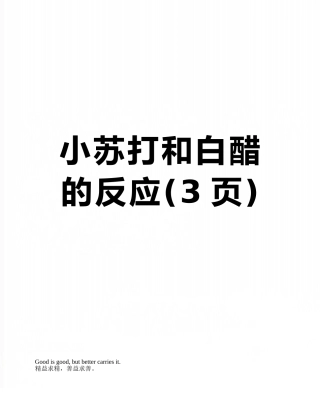 小苏打和白醋的反应