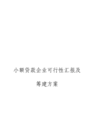 小额贷款公司可行性报告及筹建方案