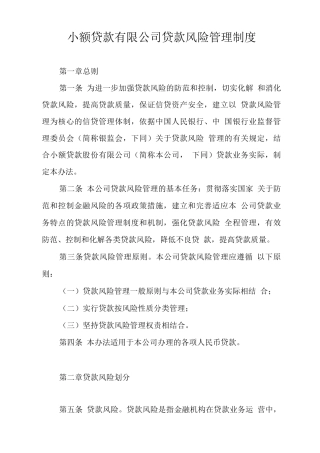 小额贷款有限公司贷款风险管理制度